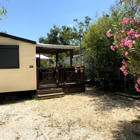 Comping Le Clos Du Thym Otel Argelès-sur-Mer Dış mekan fotoğraf